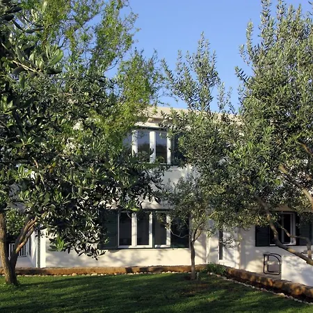 Apartments Mocici Mocici